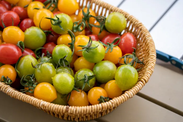 Choosing a Simple Setup for Balcony Vegetable Gardening