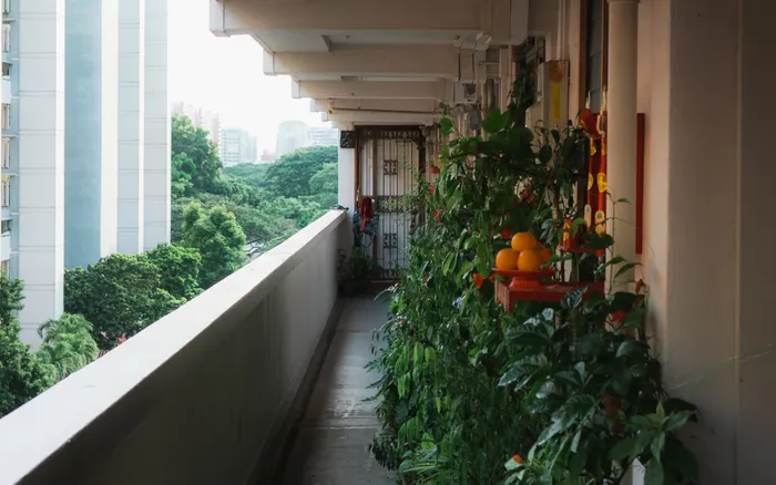 Refreshing a Stale Balcony Vegetable Gardening Routine